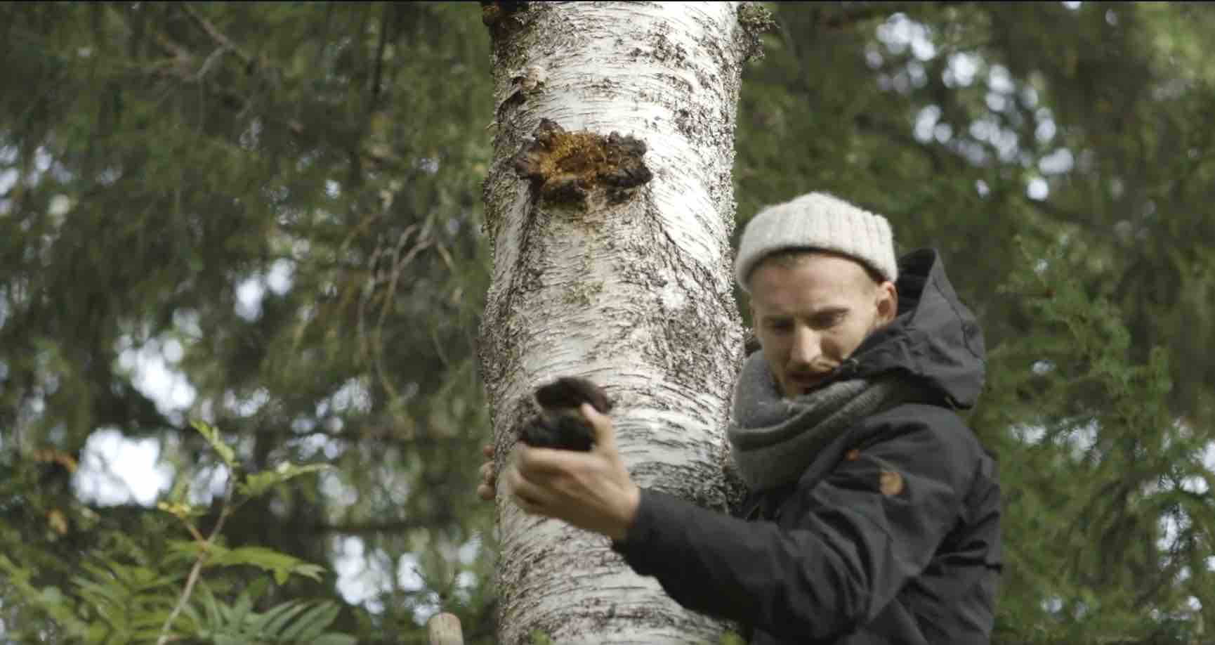 VILLD Pakuri