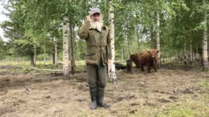 Aaro Mikkosen karjatilanne