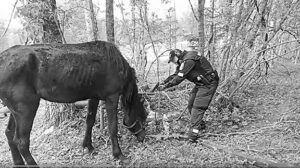 Erikoisuutislähetys Puolangalta