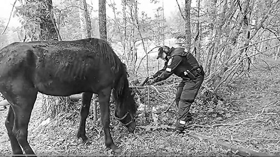 Erikoisuutislähetys Puolangalta