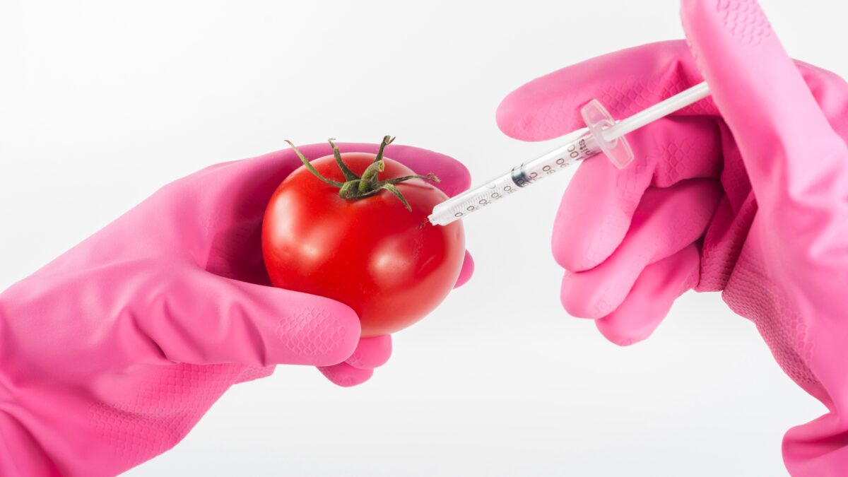 EU sallii geenimuunnellut kasvit- ei enää GMO merkintöjä tuotteissa