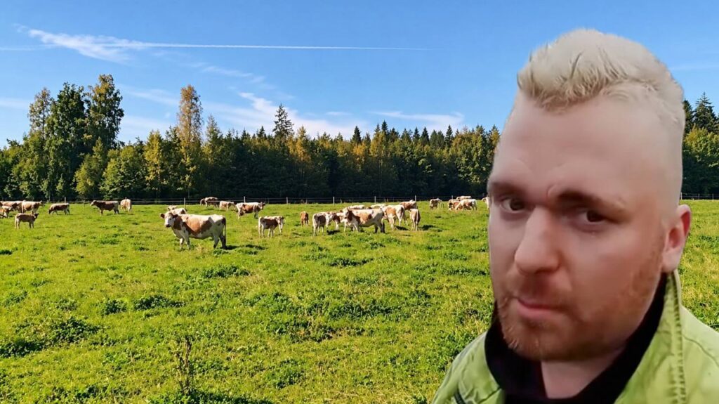 Viranomainen määräsi kyyttökarjan pidon loppumaan – tilallinen puhuu vuosien ajojahdista