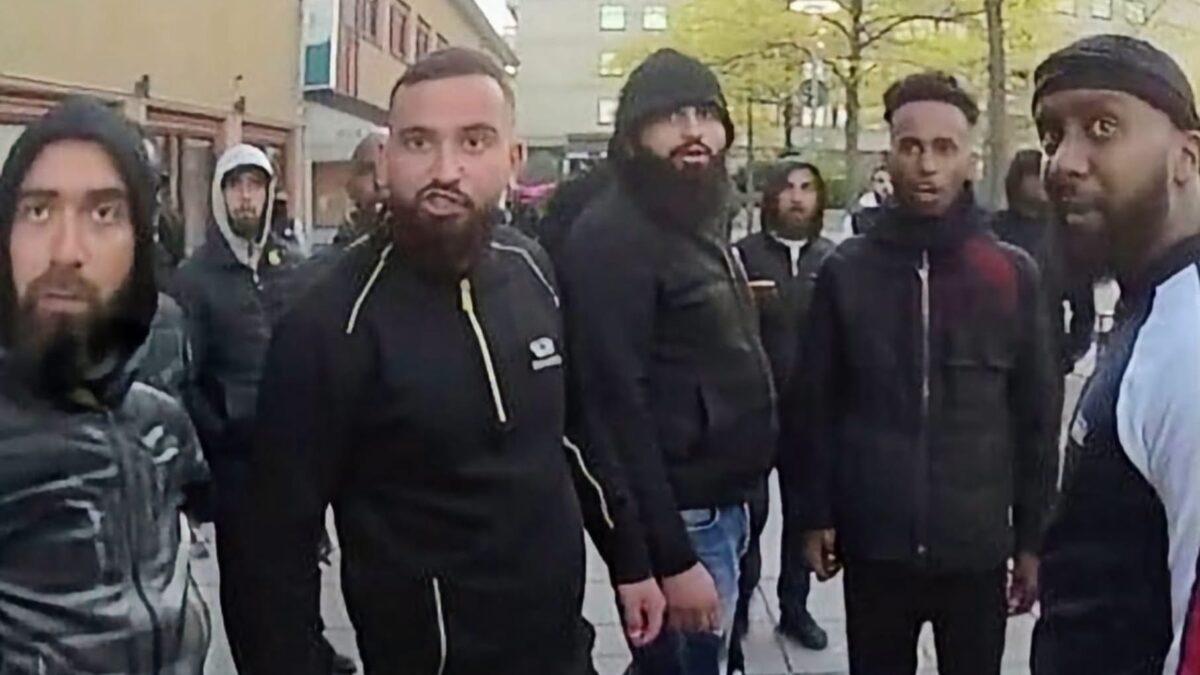 Tutkija, toimittajat ja eurooppalaispoliitikko: Islamistit ja radikaalivasemmisto Ranskan kaaoksen taustalla